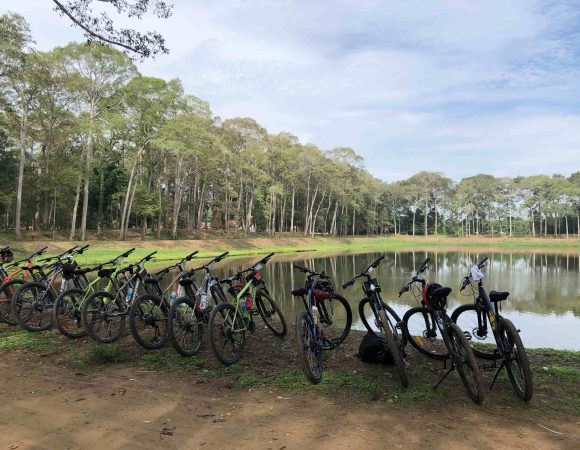 Discover the Mekong Delta at the rhythm of the bicycle