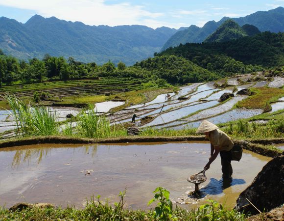 VIETNAM AUTÉNTICO - 13 DÍAS 12 NOCHES
