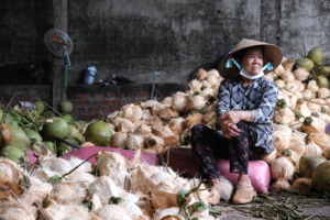 Ben Tre - Coco Village (10)