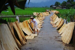 Nghia Lo - Local Life