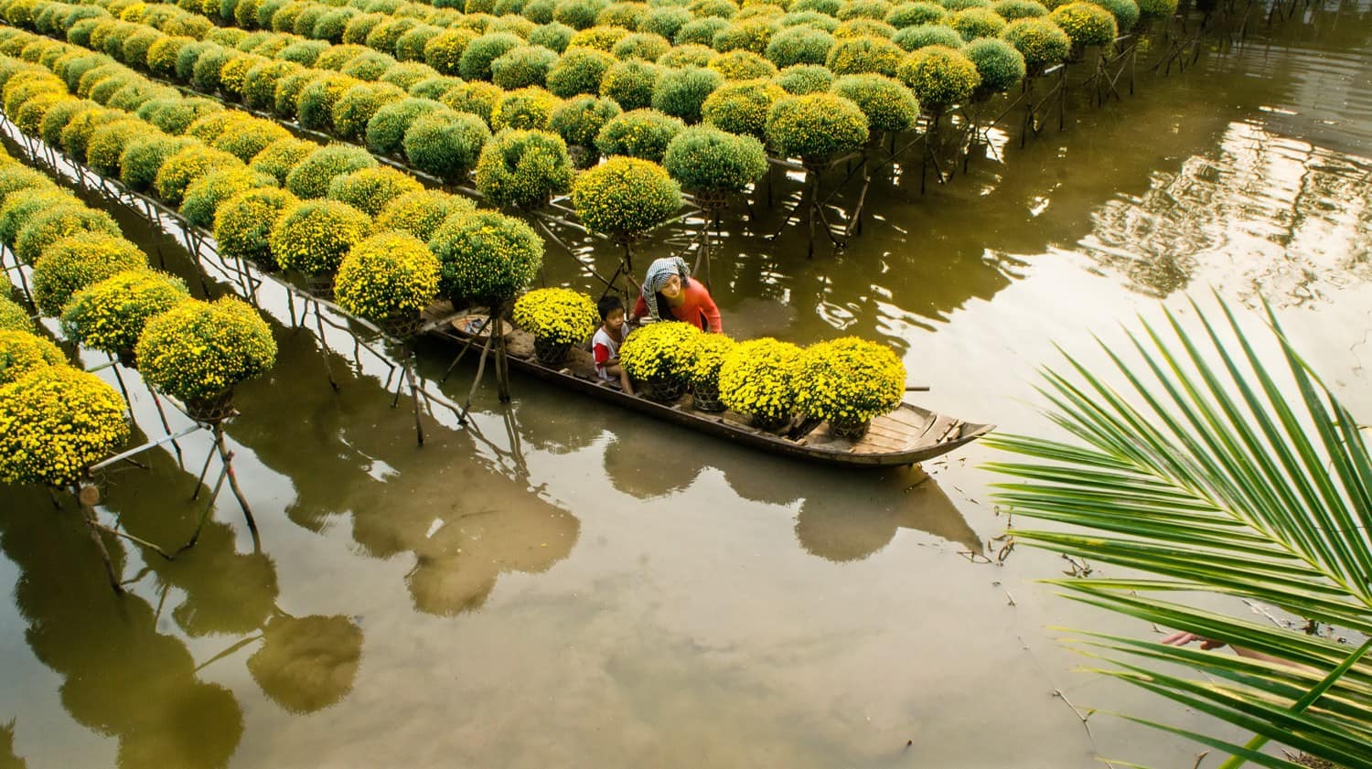 MEKONG DELTA HOMESTAY TRIP *KULTURELLE ERWEITERUNG FÜR SÜD-VIETNAM*