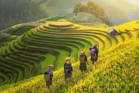 Sapa - 10 best places to visit in Vietnam