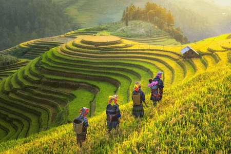 Sapa – die 10 besten Orte in Vietnam