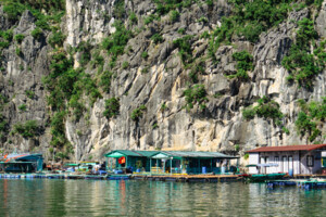 Ha Long - Lan Ha, Cat Ba (7)