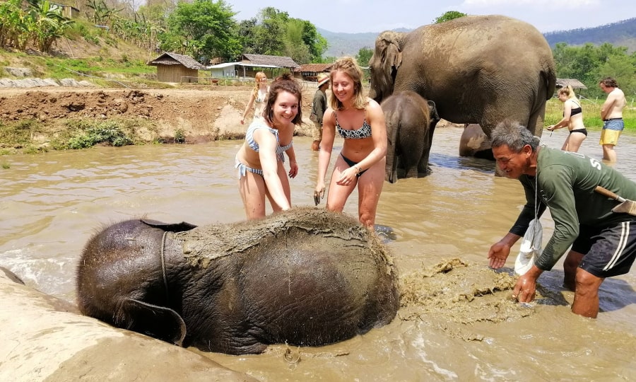 IMAGE Travel & Events organize the friendly tourism with elephants
