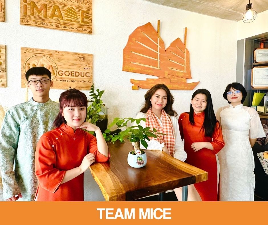 Mice Team