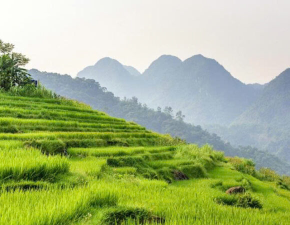 VIETNAM AUTÉNTICO 13 DÍAS 12 NOCHES