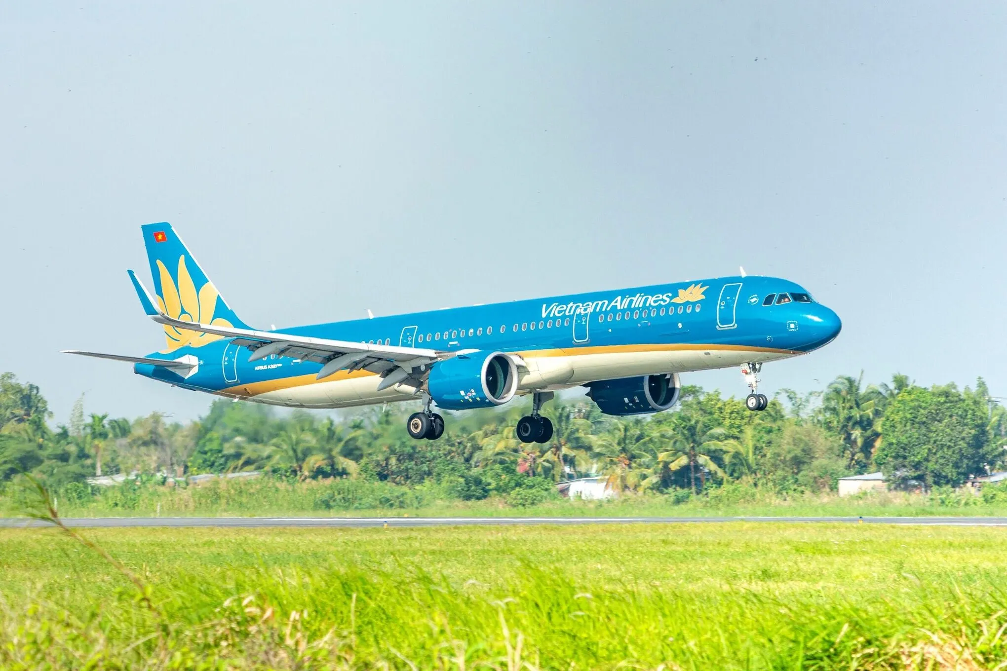 The Airbus A321 aircraft will operate the new direct Da Nang–Singapore route. Photo: Vietnam Airlines