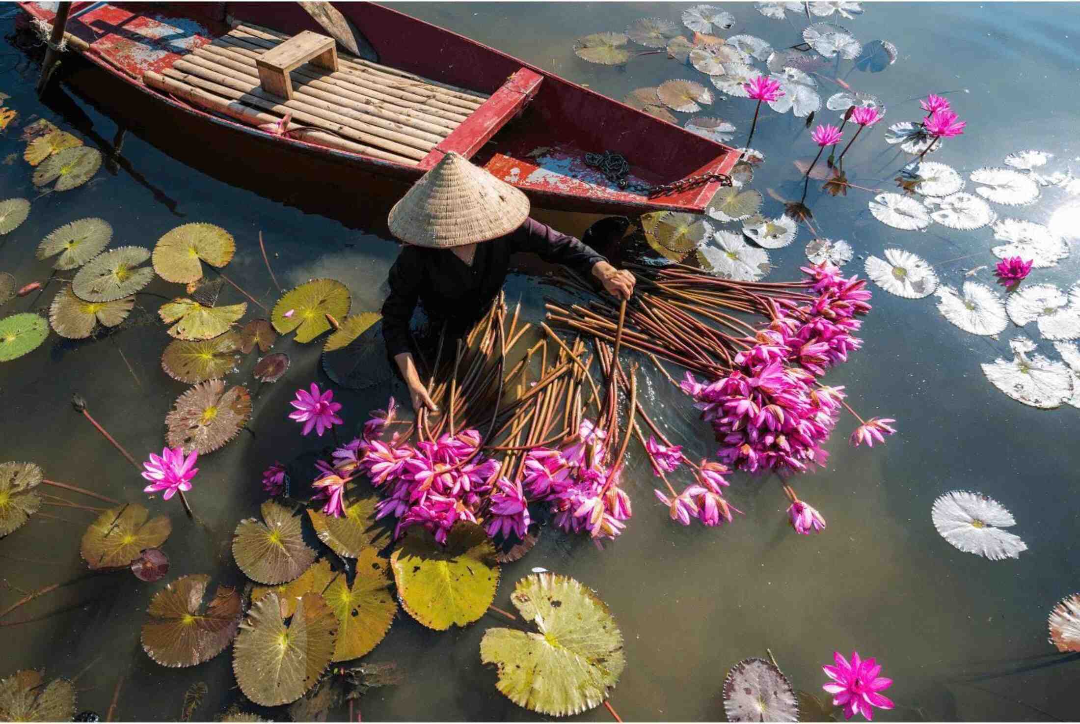 Hermoso Vietnam